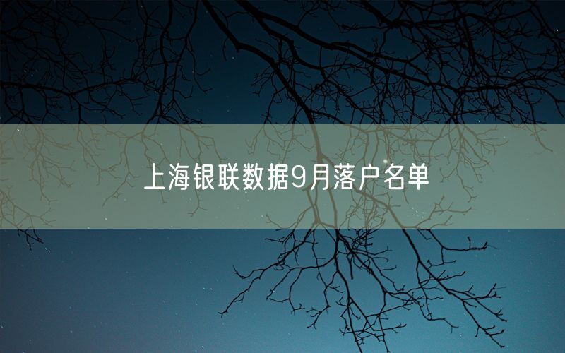 上海银联数据9月落户名单