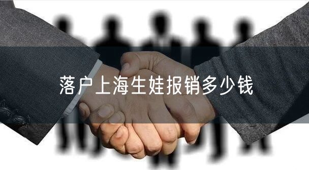 落户上海生娃报销多少钱