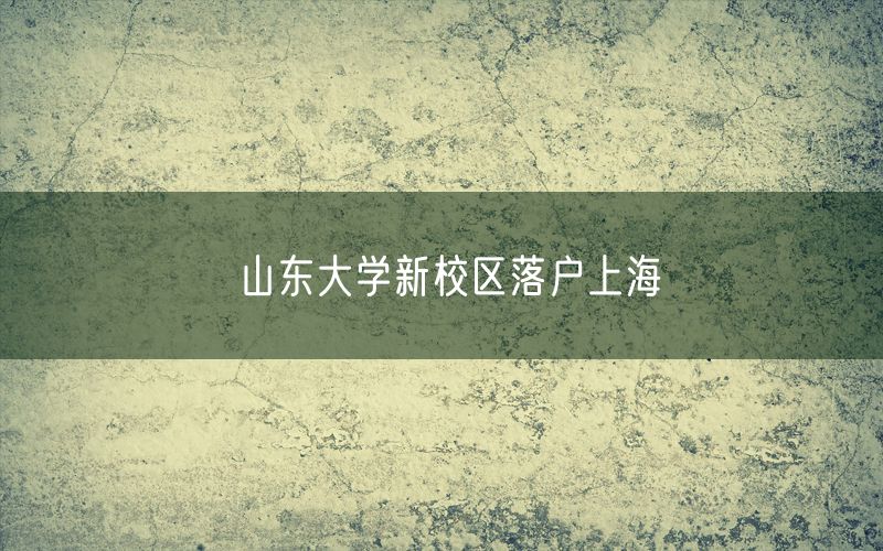 山东大学新校区落户上海