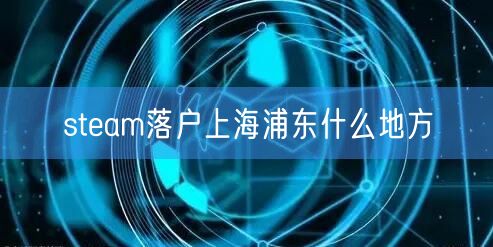 steam落户上海浦东什么地方