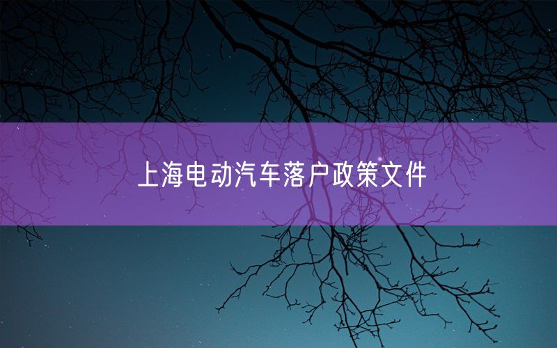 上海电动汽车落户政策文件