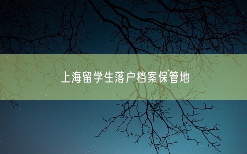 上海留学生落户档案保管地