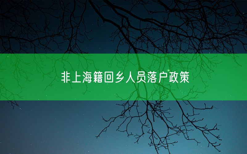 非上海籍回乡人员落户政策