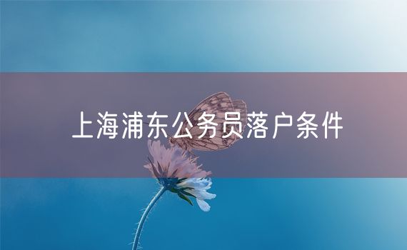 上海浦东公务员落户条件