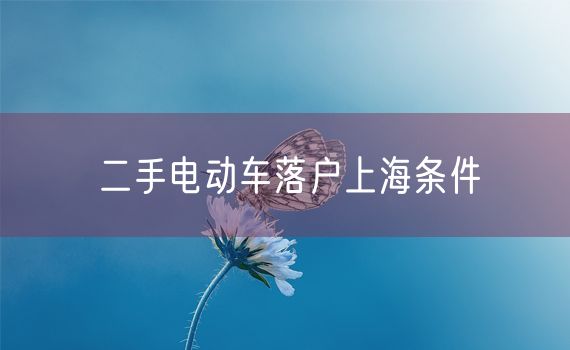 二手电动车落户上海条件