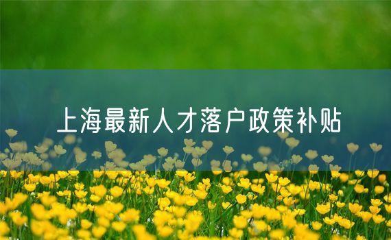 上海最新人才落户政策补贴