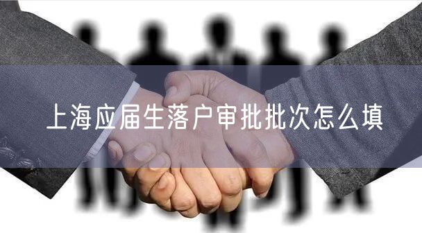 上海应届生落户审批批次怎么填