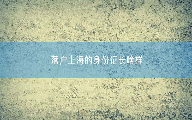 落户上海的身份证长啥样