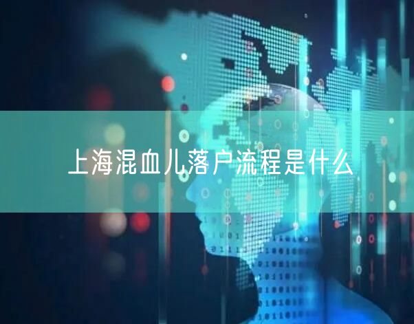 上海混血儿落户流程是什么