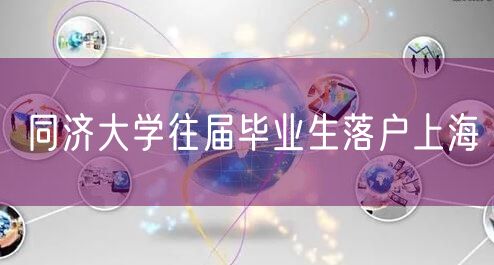 同济大学往届毕业生落户上海