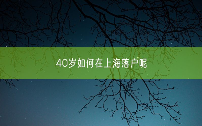 40岁如何在上海落户呢