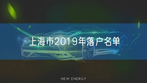 上海市2019年落户名单