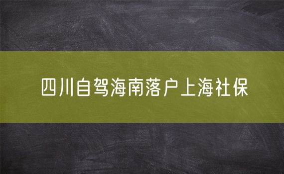 四川自驾海南落户上海社保