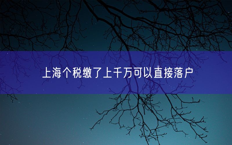 上海个税缴了上千万可以直接落户