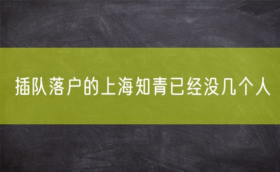 插队落户的上海知青已经没几个人