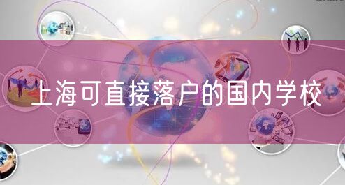 上海可直接落户的国内学校