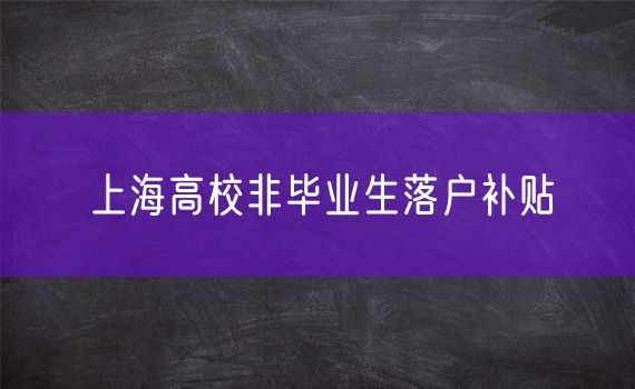 上海高校非毕业生落户补贴