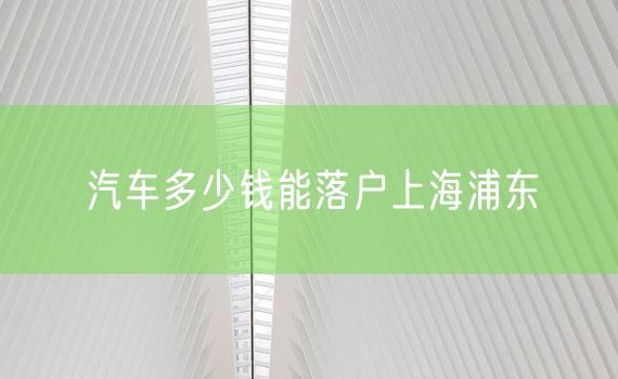 汽车多少钱能落户上海浦东