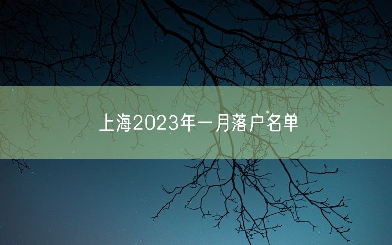 上海2023年一月落户名单