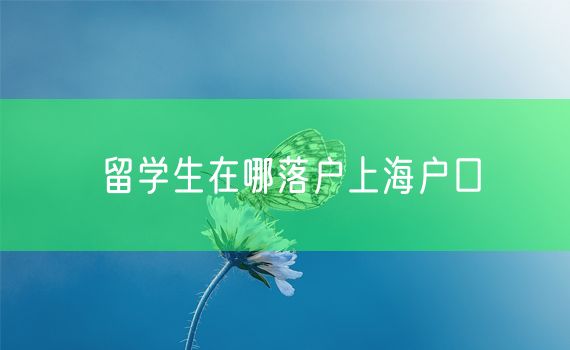 留学生在哪落户上海户口