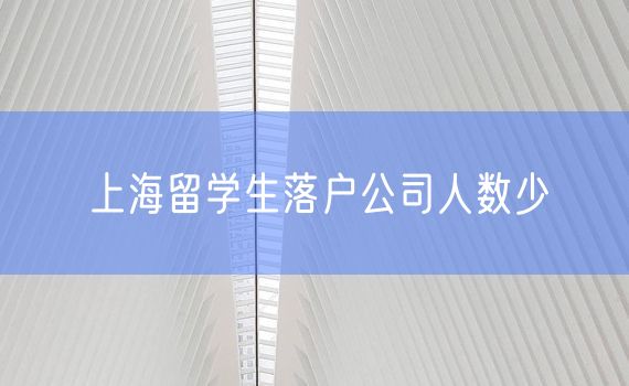 上海留学生落户公司人数少