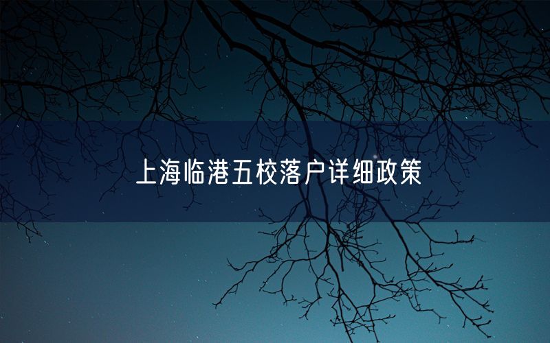 上海临港五校落户详细政策