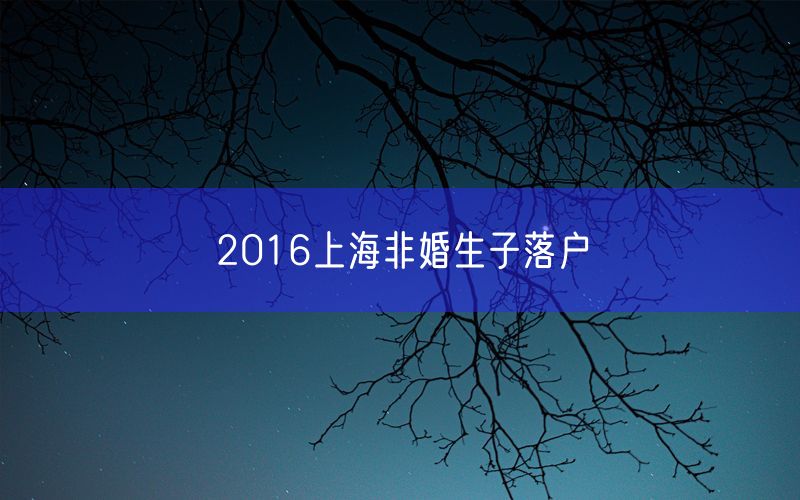 2016上海非婚生子落户