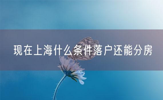 现在上海什么条件落户还能分房