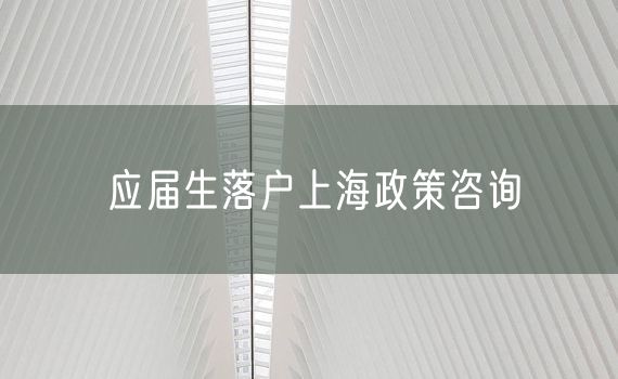 应届生落户上海政策咨询