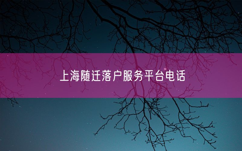 上海随迁落户服务平台电话