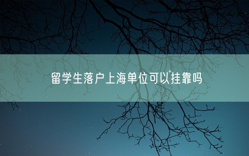 留学生落户上海单位可以挂靠吗