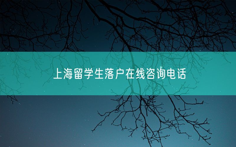 上海留学生落户在线咨询电话