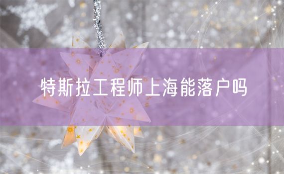 特斯拉工程师上海能落户吗