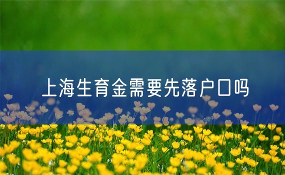 上海生育金需要先落户口吗