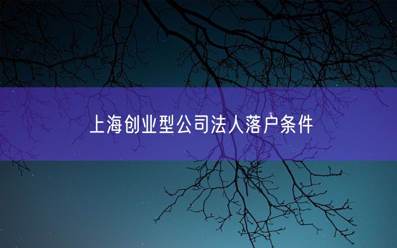 上海创业型公司法人落户条件