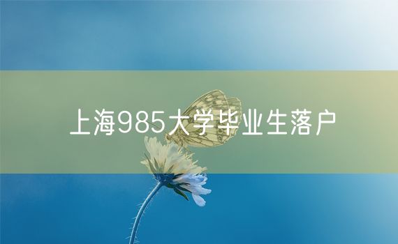 上海985大学毕业生落户