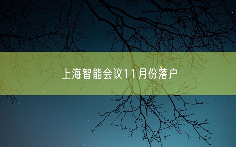 上海智能会议11月份落户