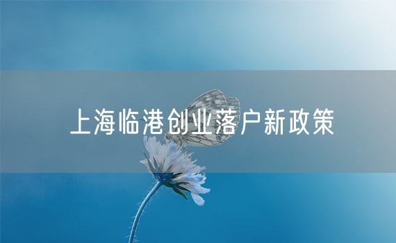 上海临港创业落户新政策