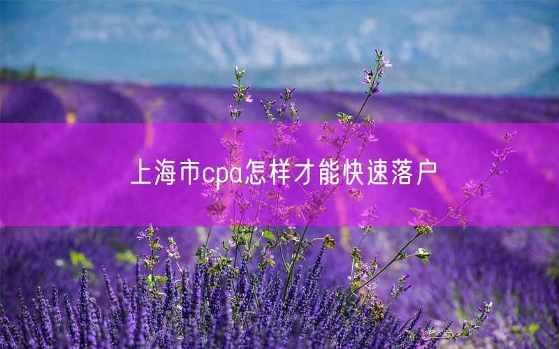 上海市cpa怎样才能快速落户