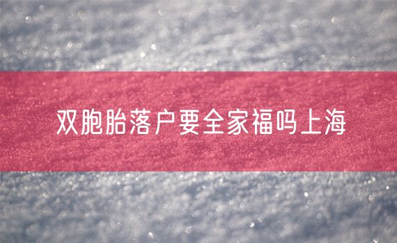 双胞胎落户要全家福吗上海