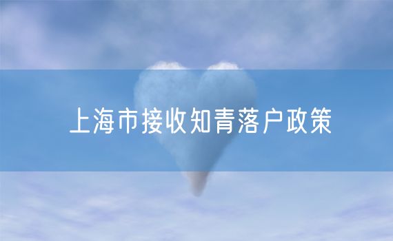 上海市接收知青落户政策