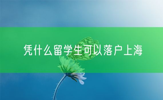 凭什么留学生可以落户上海