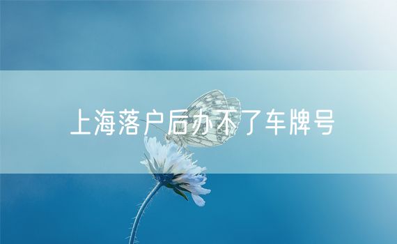 上海落户后办不了车牌号