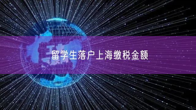 留学生落户上海缴税金额