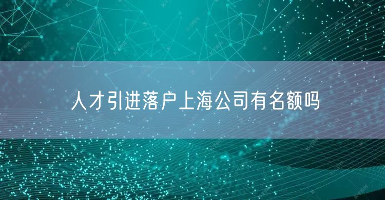 人才引进落户上海公司有名额吗