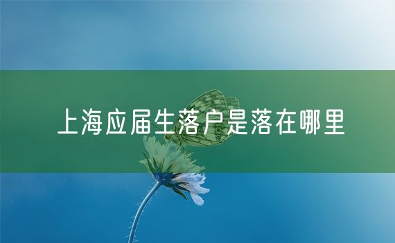 上海应届生落户是落在哪里