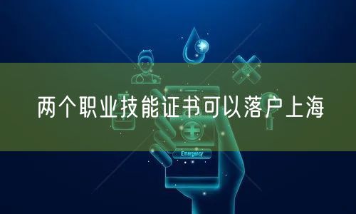 两个职业技能证书可以落户上海