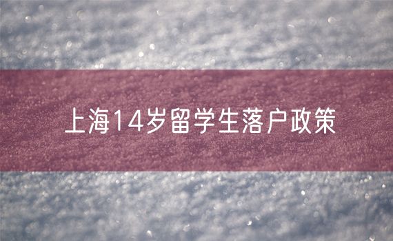 上海14岁留学生落户政策