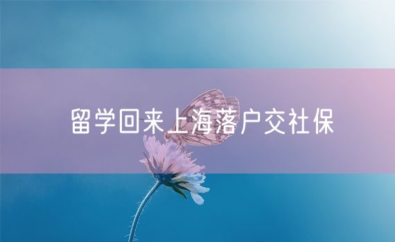 留学回来上海落户交社保