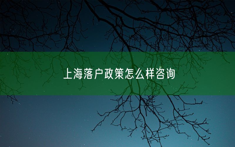 上海落户政策怎么样咨询